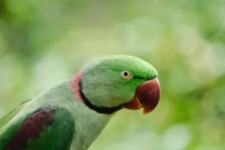 
                            Powroty
